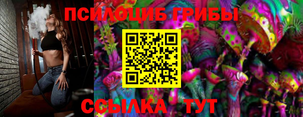 Галлюциногенные грибы прущие грибы Кунгур