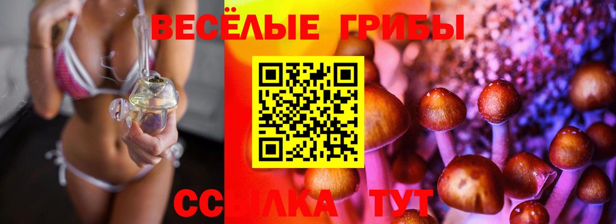 Кунгур  Псилоцибиновые грибы Cubensis  Вход с VPN 